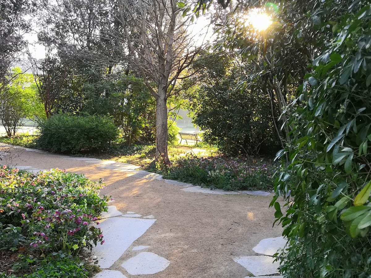 École Normale Supérieure de Lyon photo 5