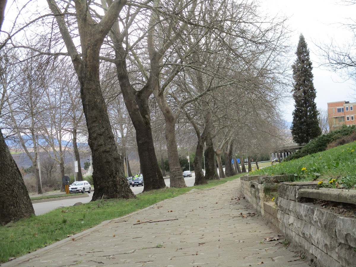 South-West University Neofit Rilski photo 4