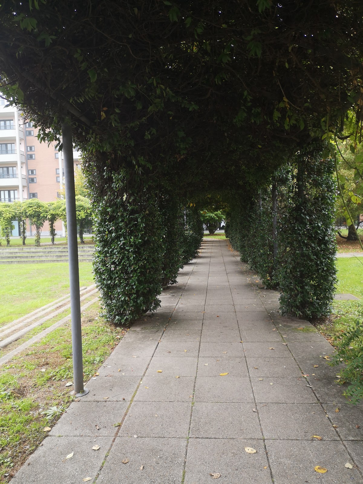 IULM University photo 9