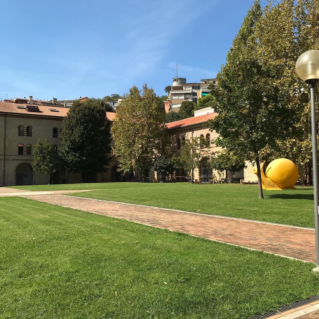 University of Marche photo 4