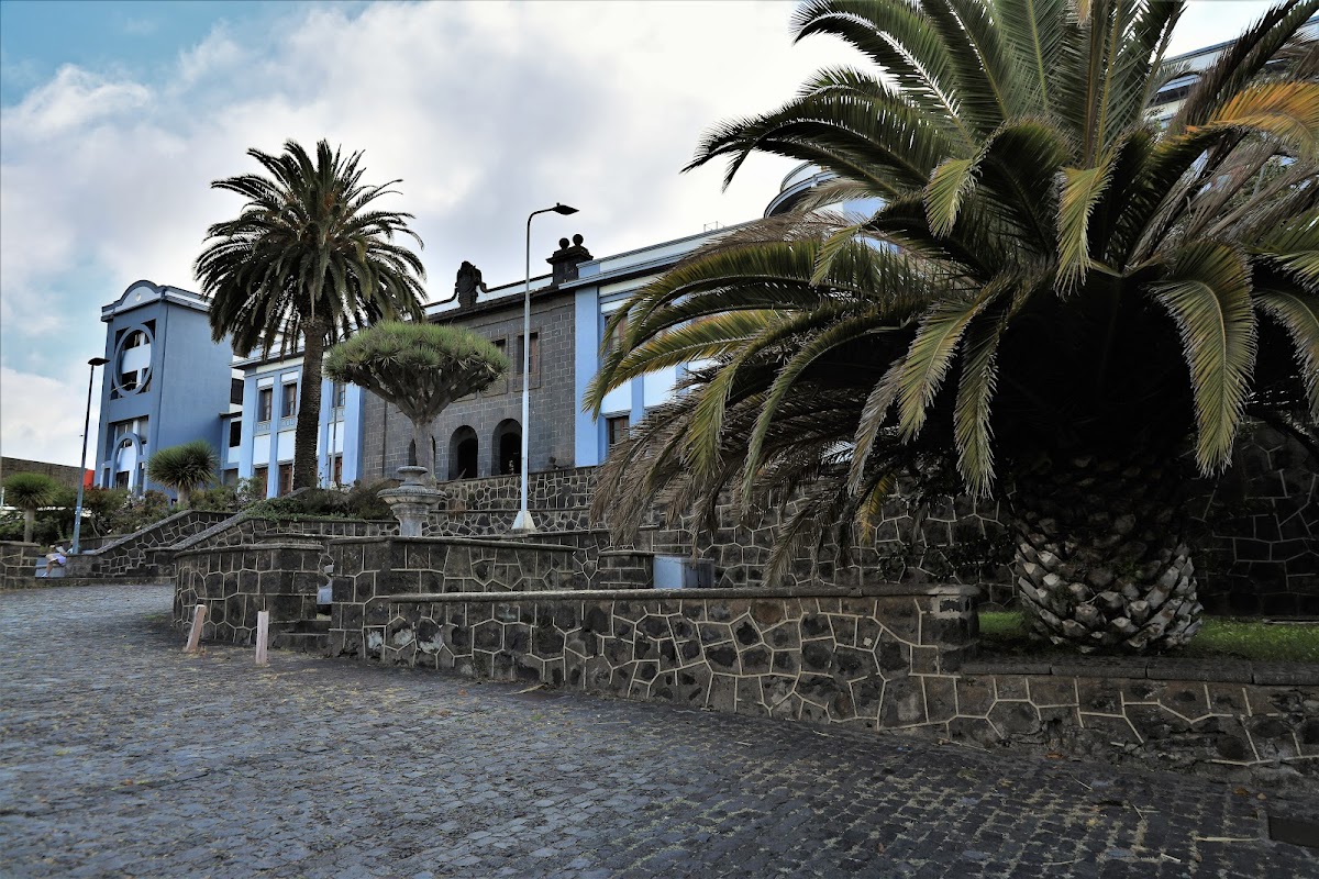 University of La Laguna photo 3