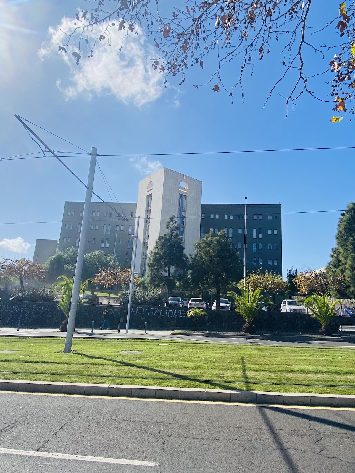 University of La Laguna photo 7