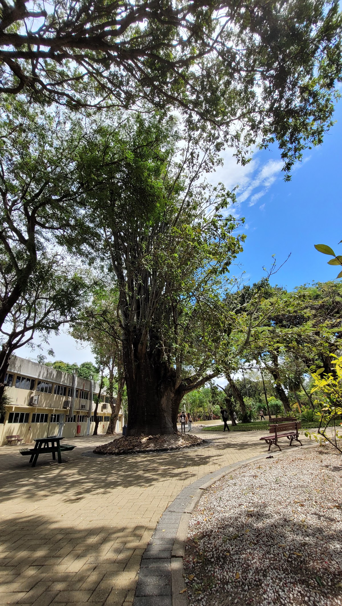 University of Fortaleza photo 9