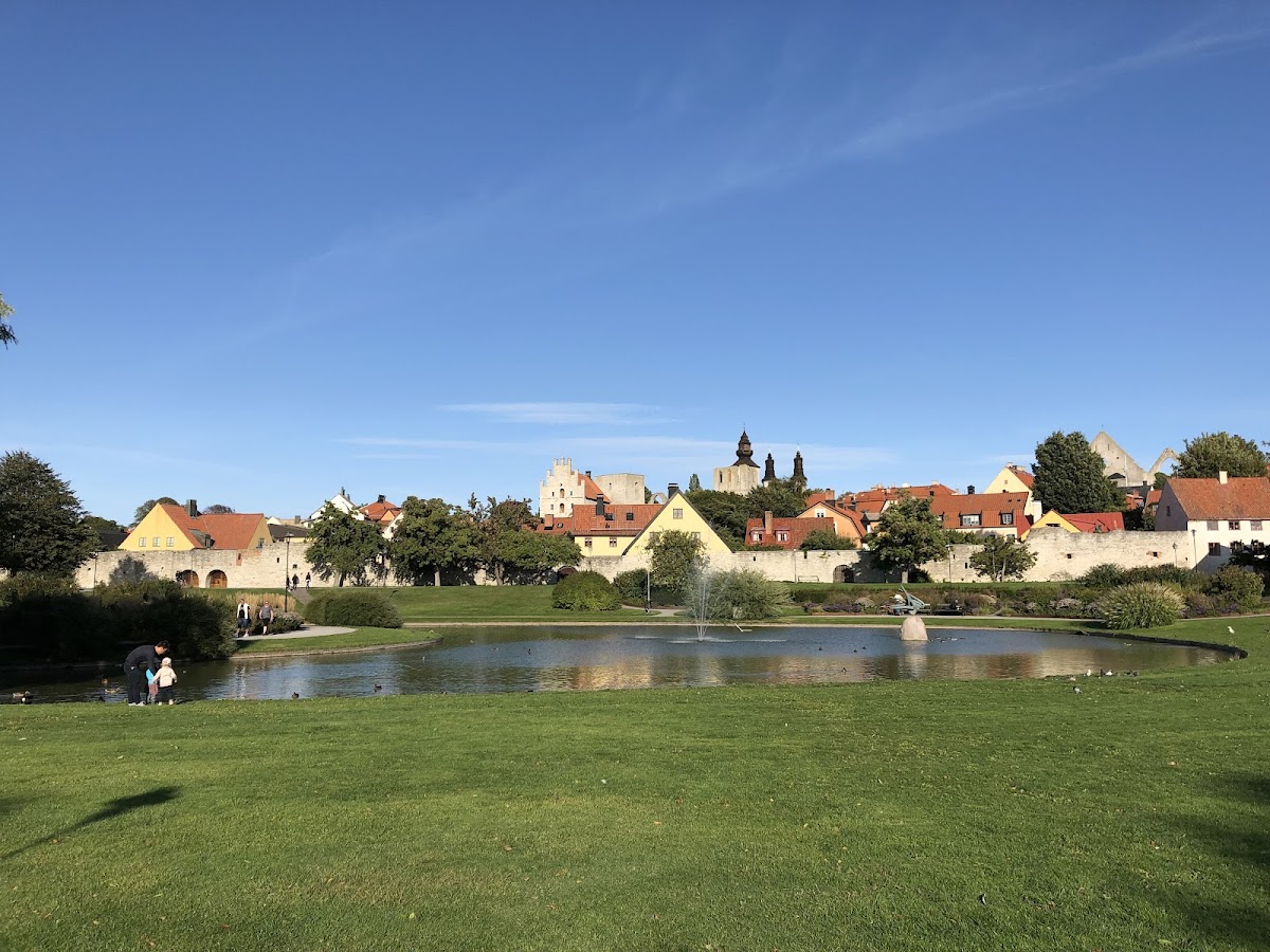 Campus Gotland - Uppsala University photo 3