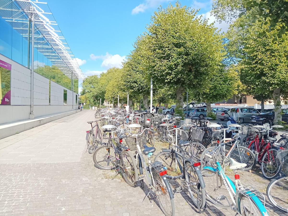 Campus Gotland - Uppsala University photo 5