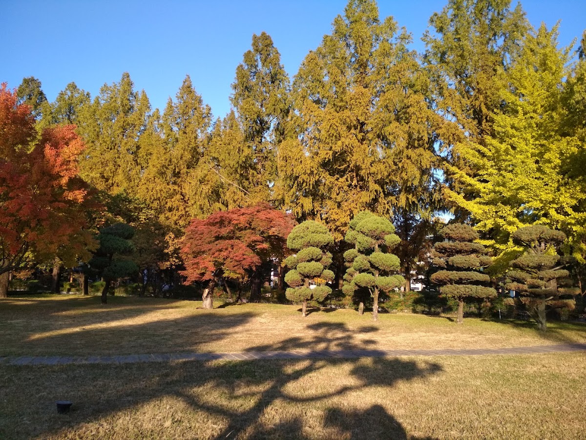 Hannam University photo 3