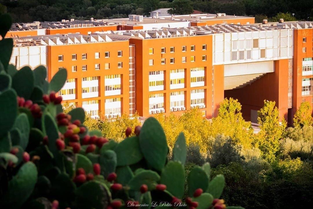 University of Calabria photo 1
