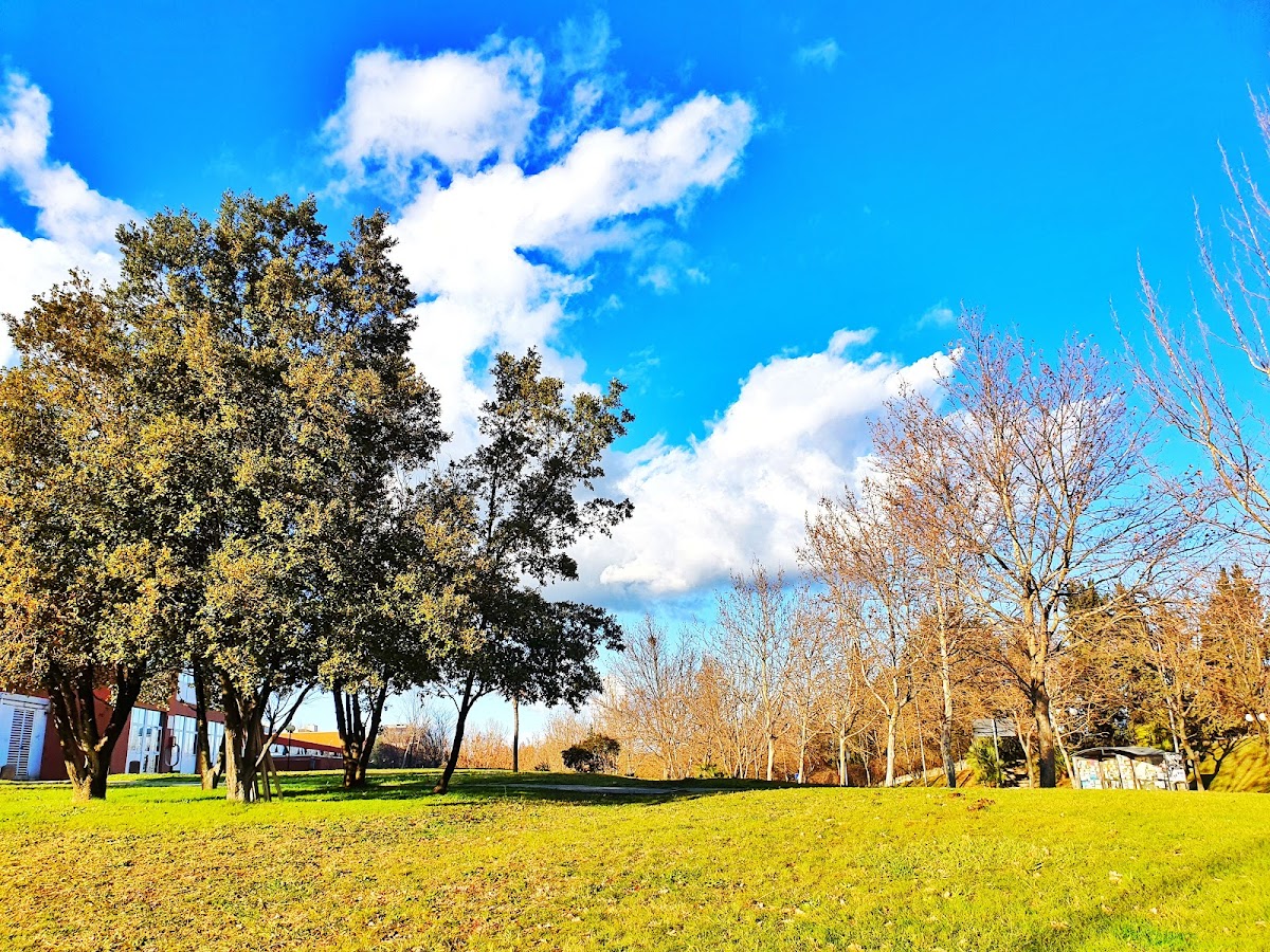 University of Calabria photo 5