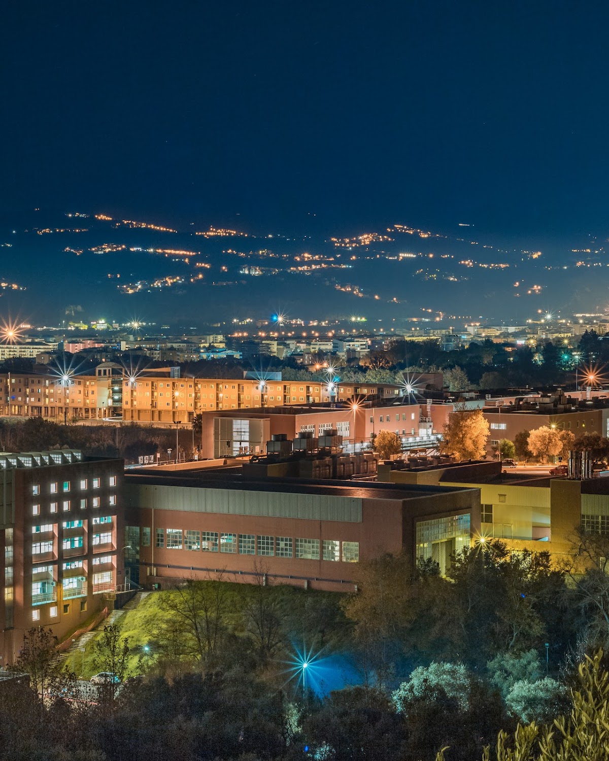 University of Calabria photo 9