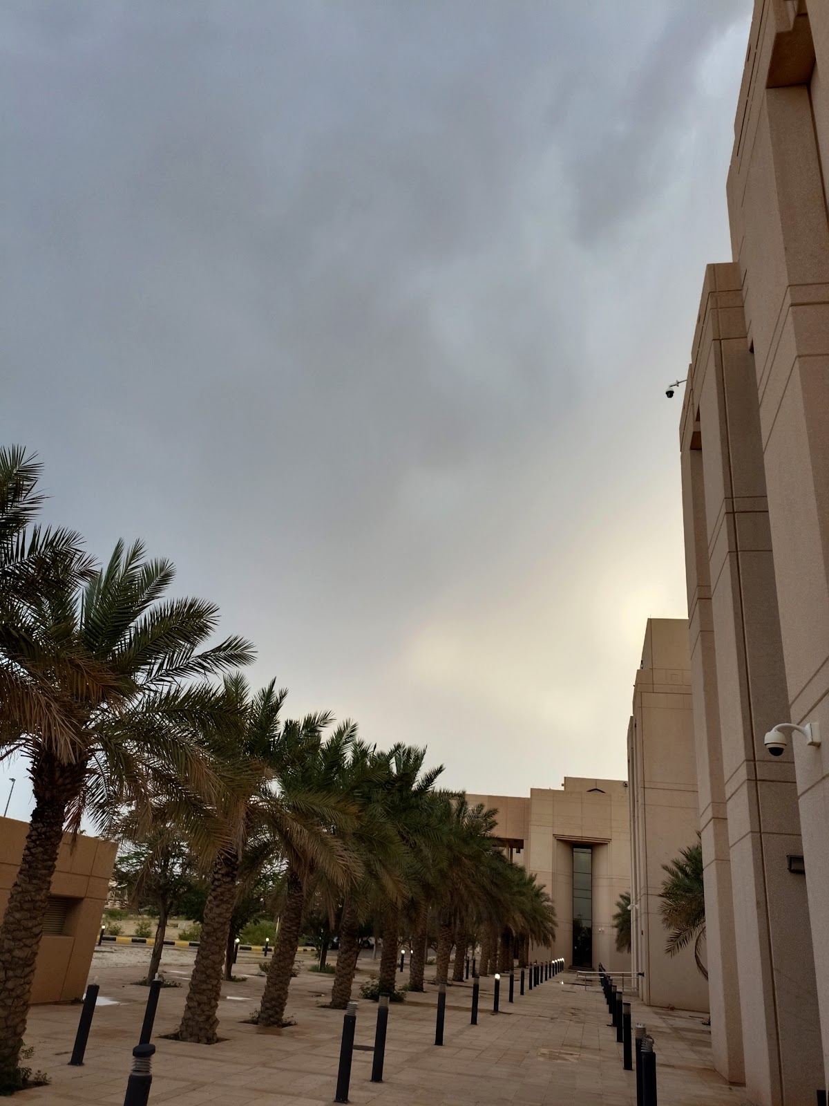 Qassim University photo 8