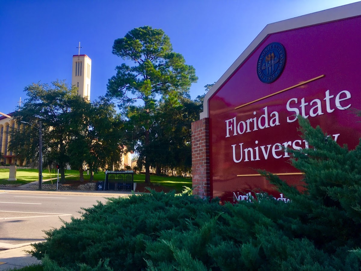 Florida State University photo 5