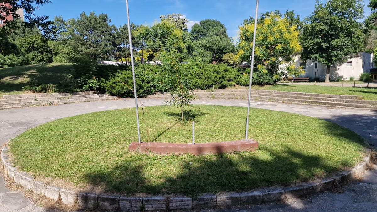 Milton Friedman University photo 3