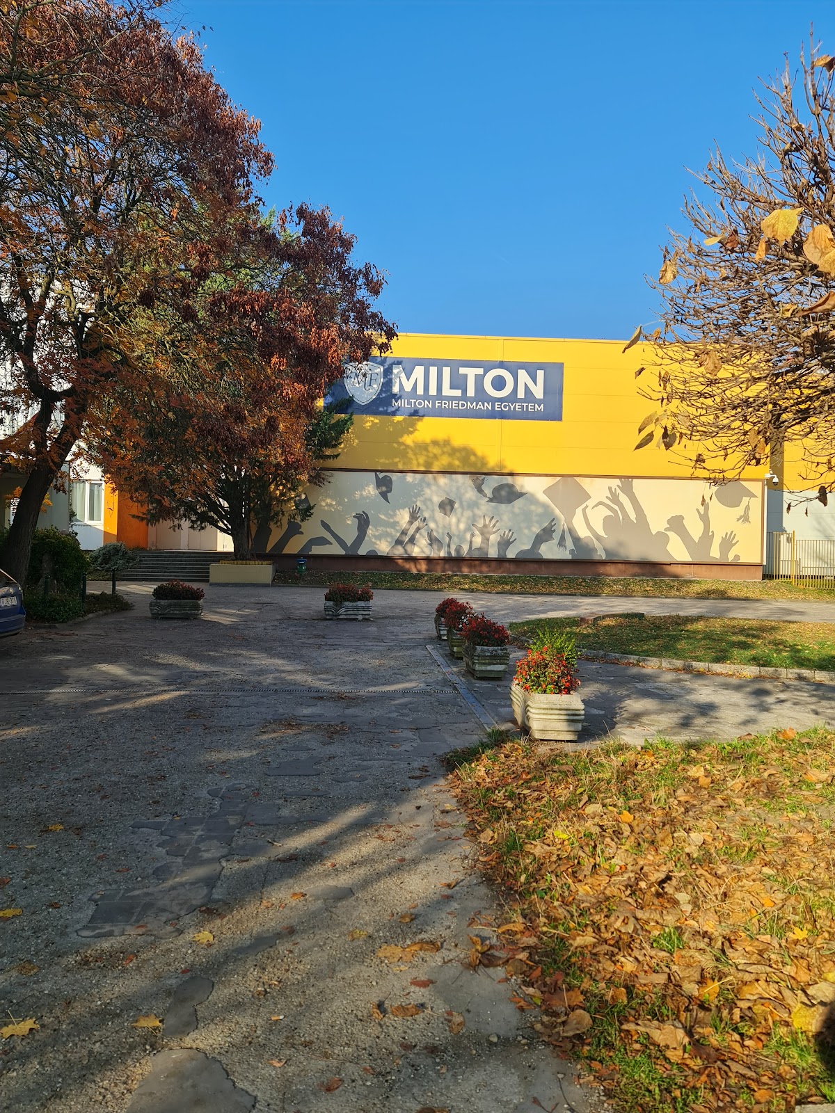 Milton Friedman University photo 8