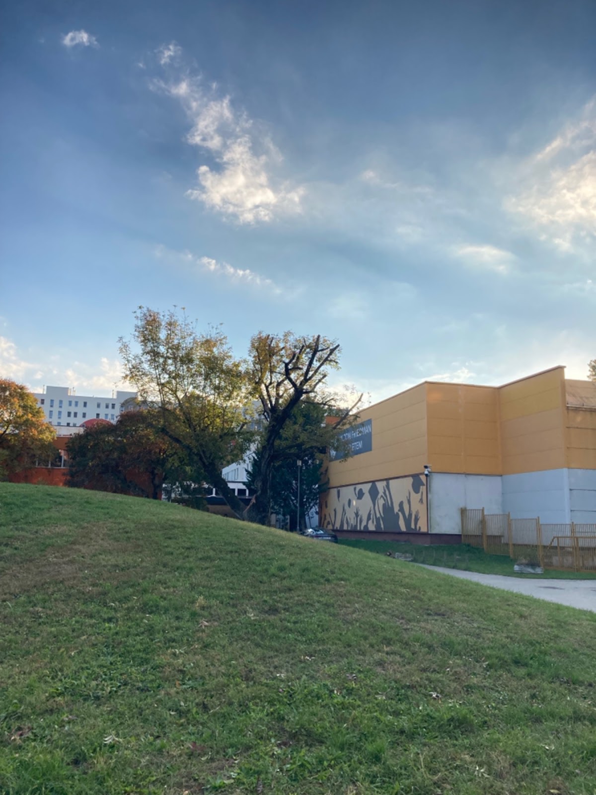 Milton Friedman University photo 9