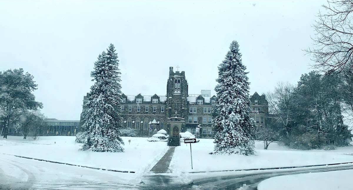 Brescia University College photo 1