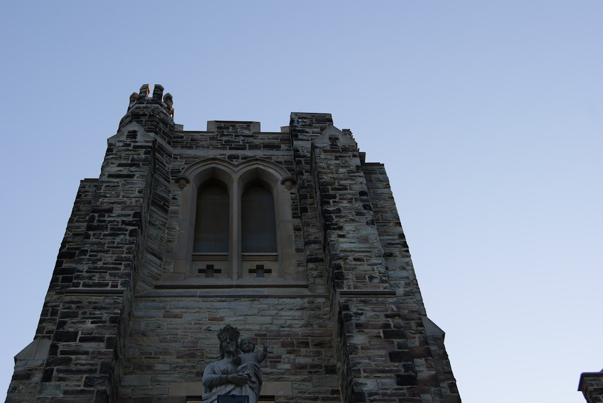 Brescia University College photo 6