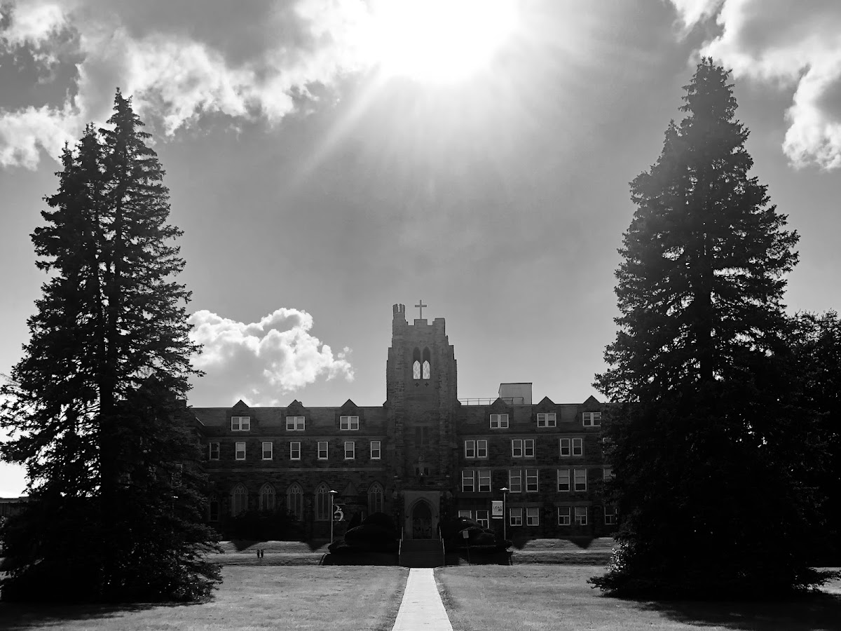 Brescia University College photo 7