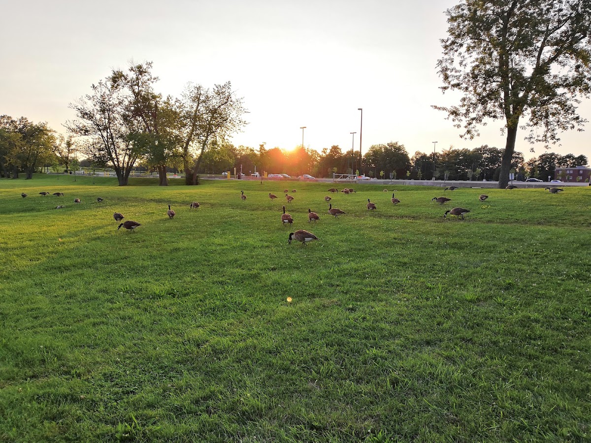 Brescia University College photo 8