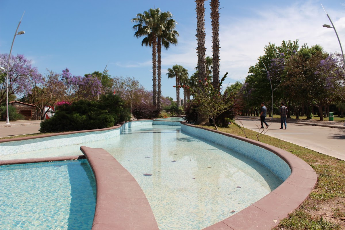 Akdeniz University photo 1