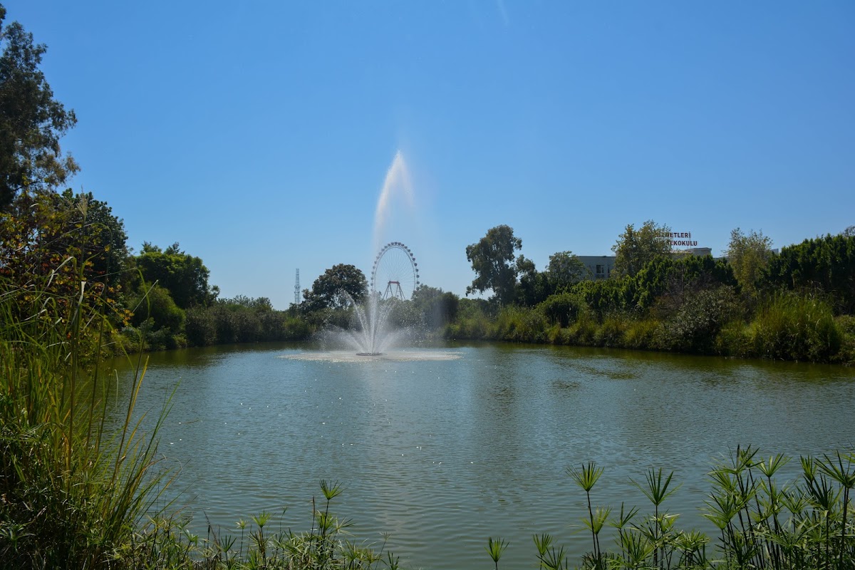 Akdeniz University photo 2