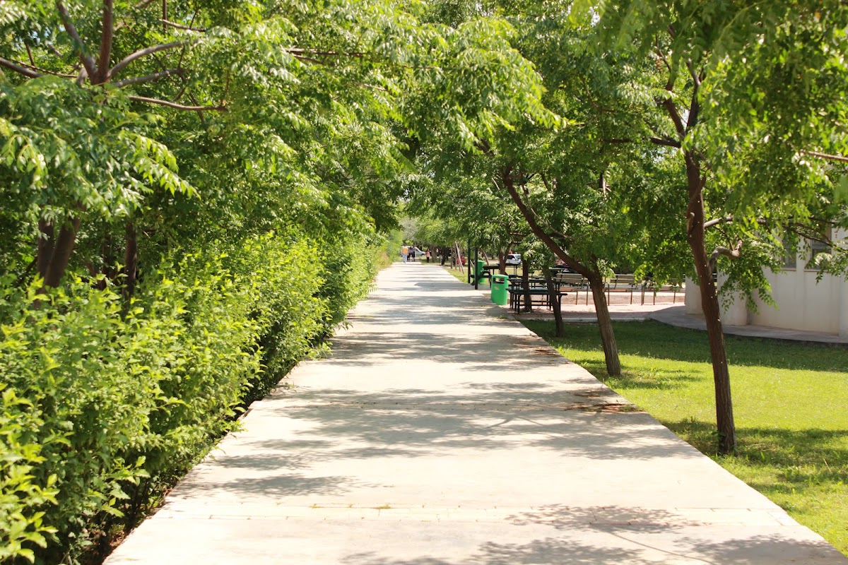 Akdeniz University photo 3