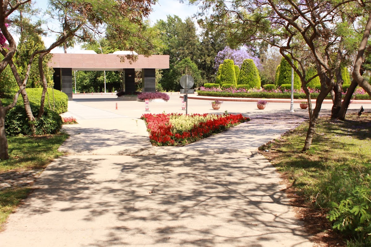 Akdeniz University photo 4