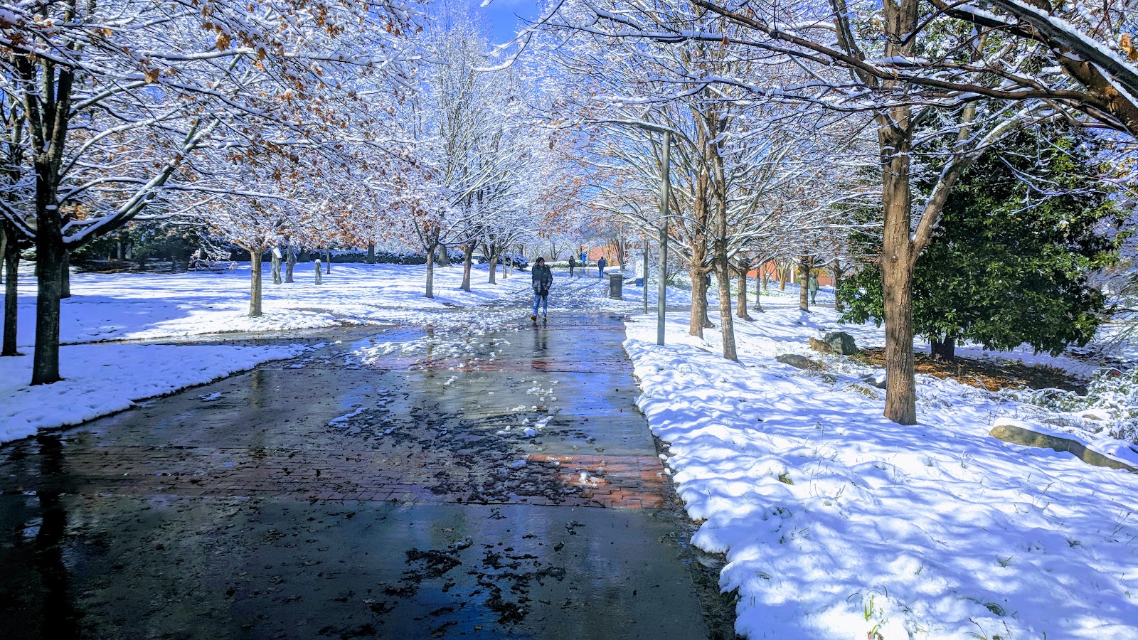 Institute of Technology 1605