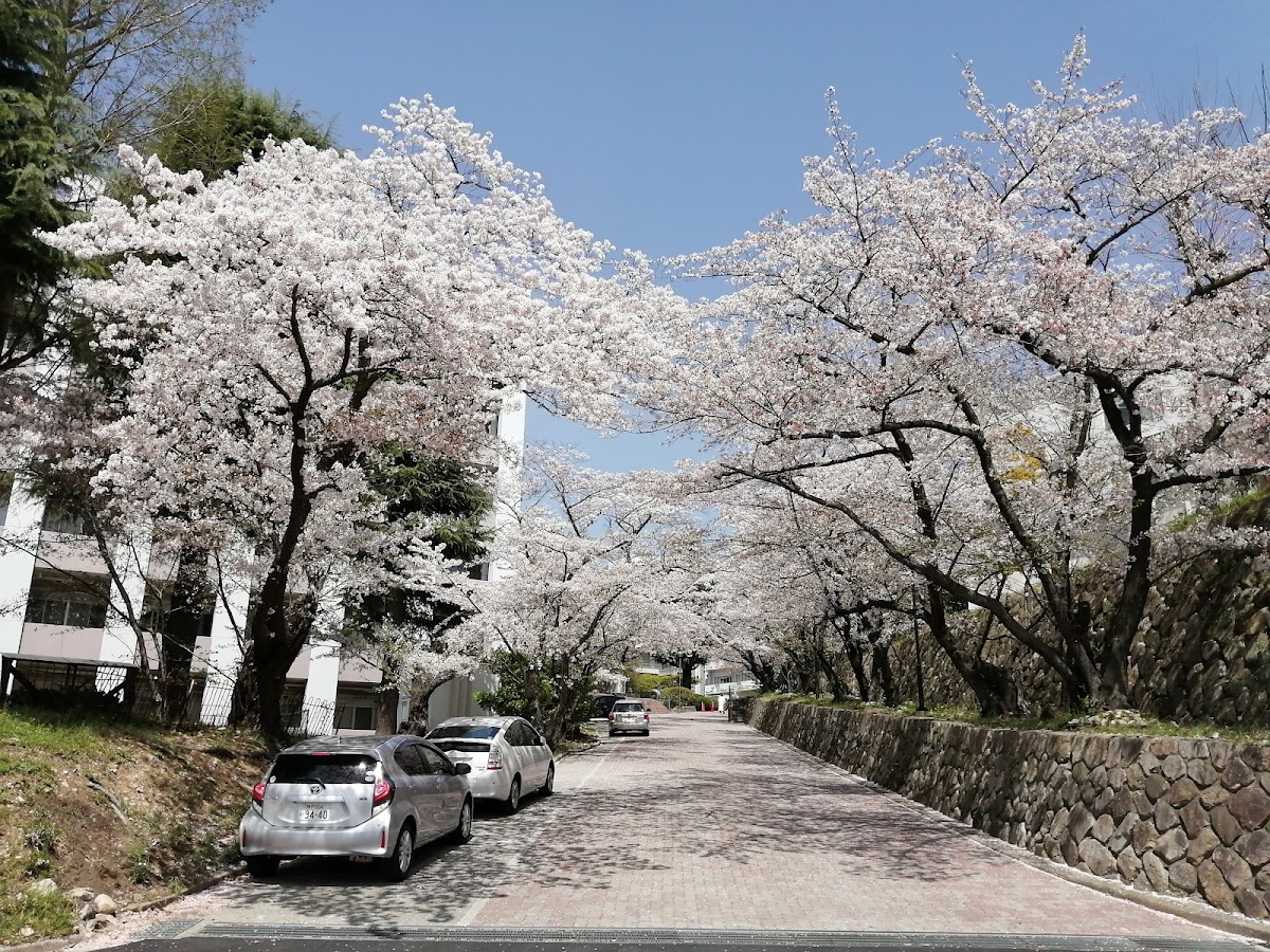 Kobe University photo 5