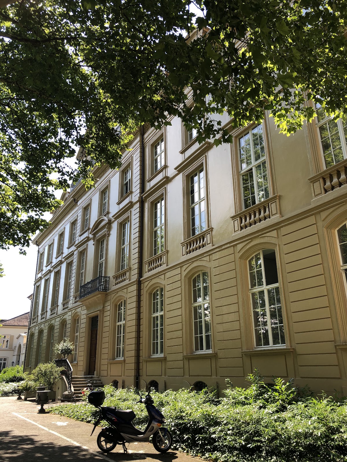 University of Basel photo 8