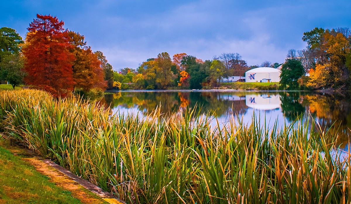 Northwestern State University photo 2