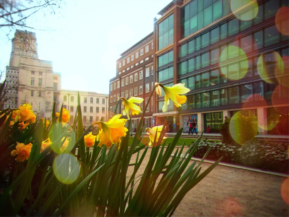 Birkbeck College London photo 3
