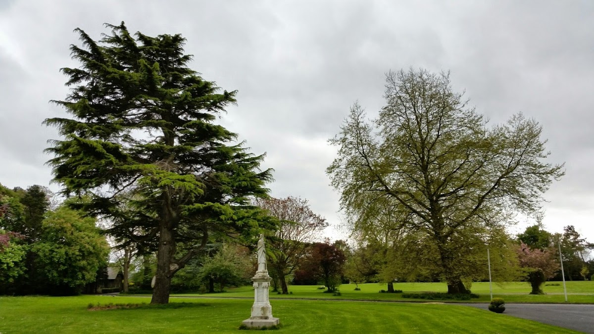 All Hallows College photo 1