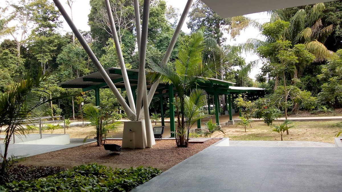 Federal University of Amazonas photo 3