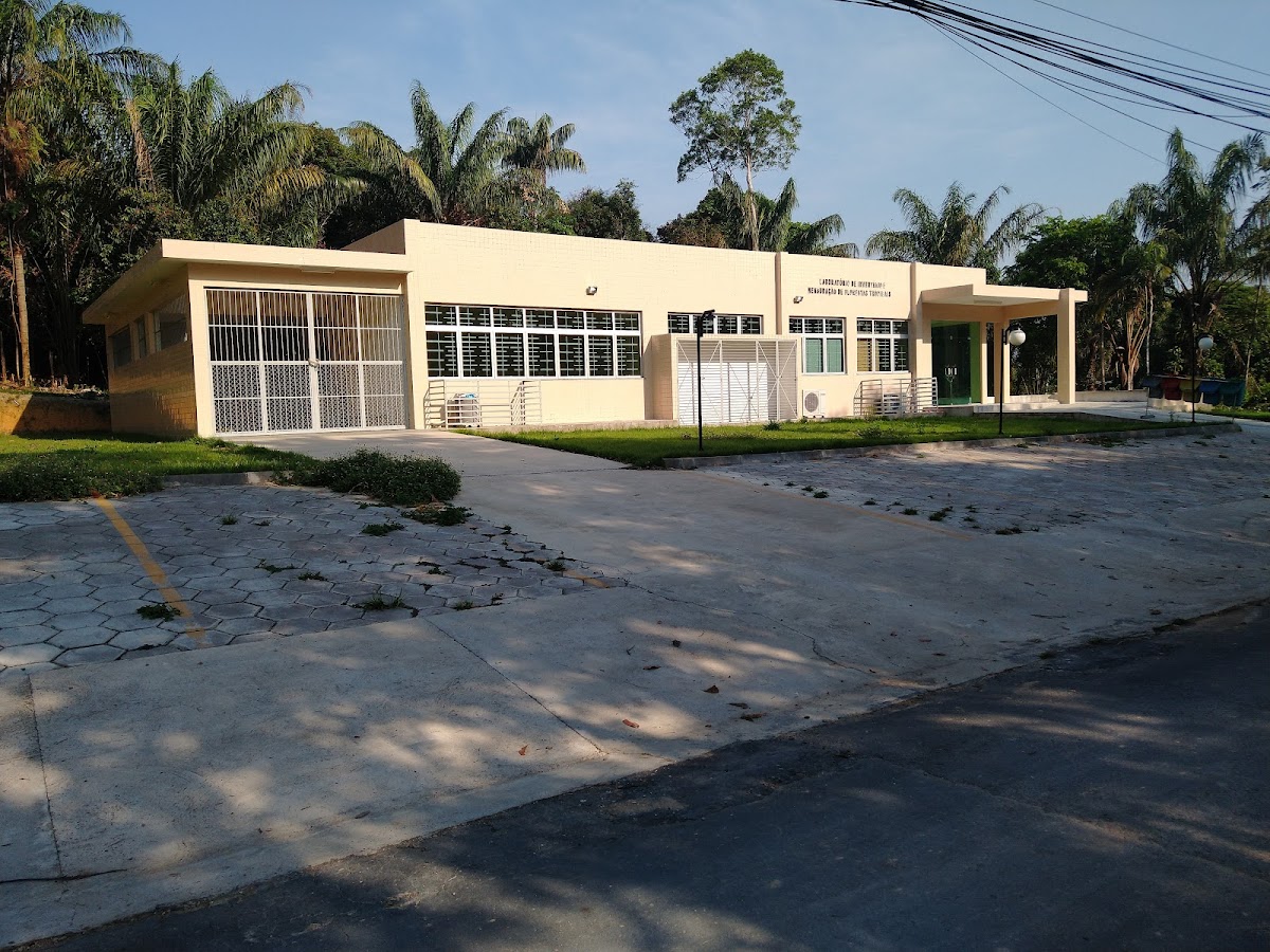 Federal University of Amazonas photo 4