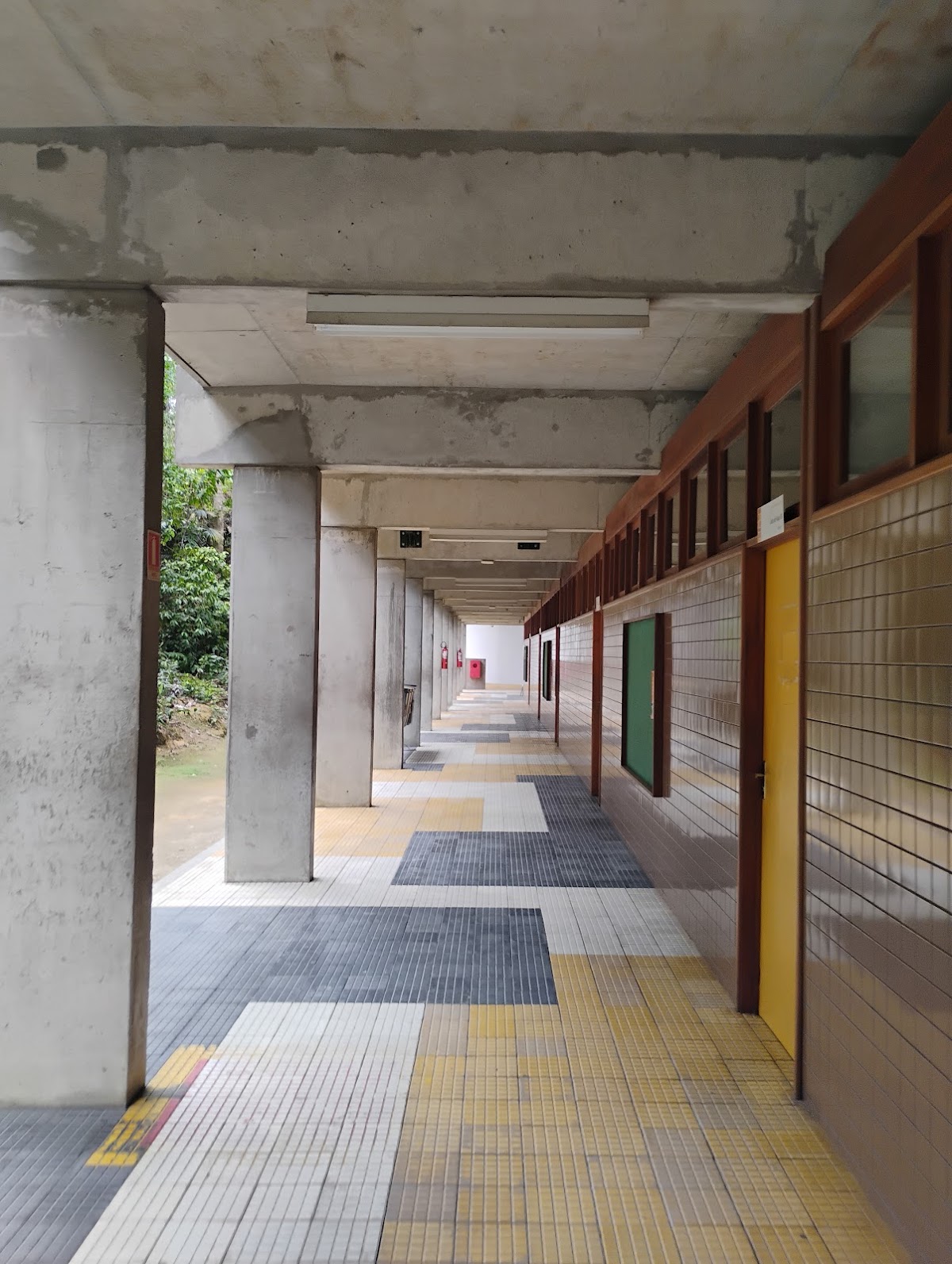 Federal University of Amazonas photo 8
