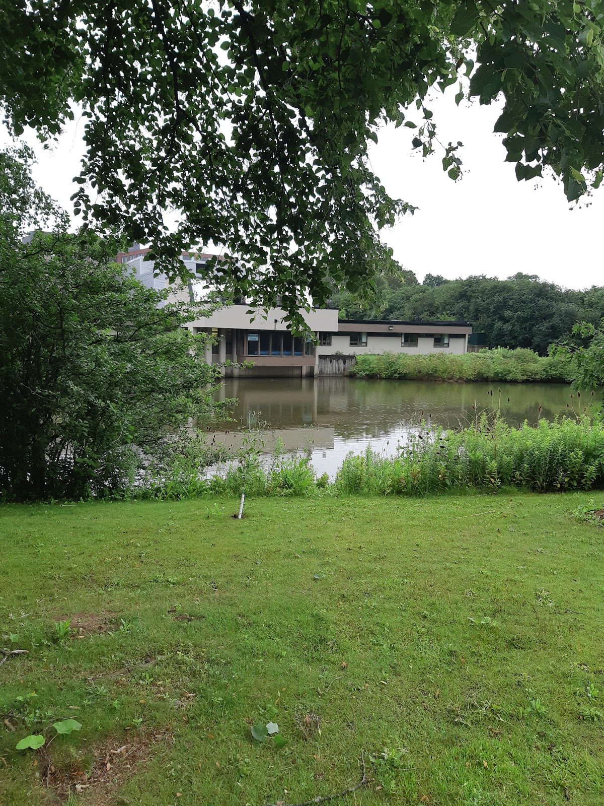 St. Jeromes University photo 8