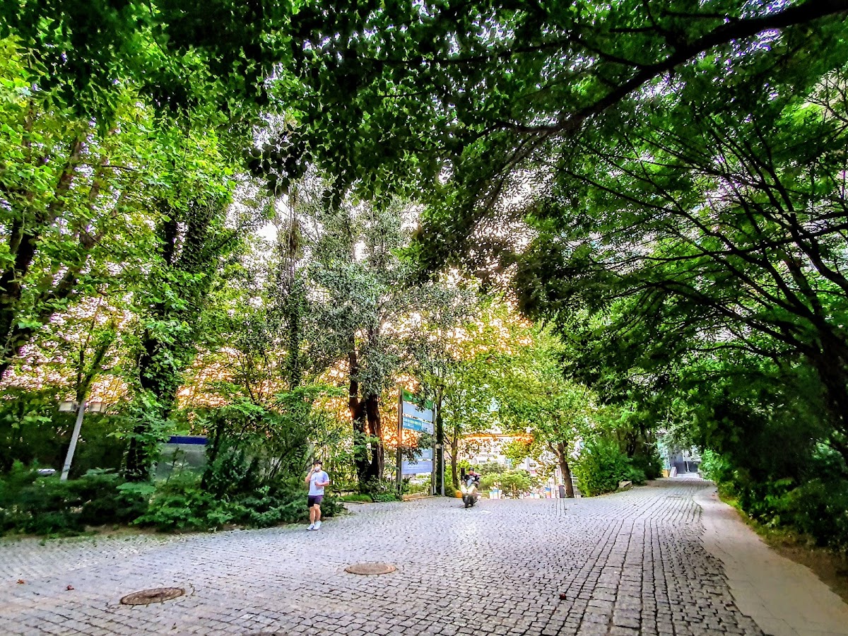 Hongik University photo 3