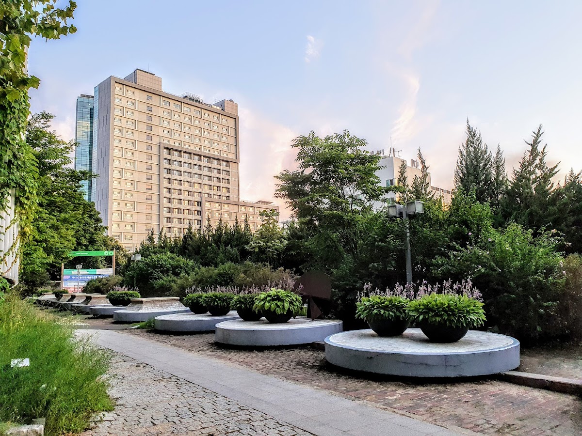 Hongik University photo 6