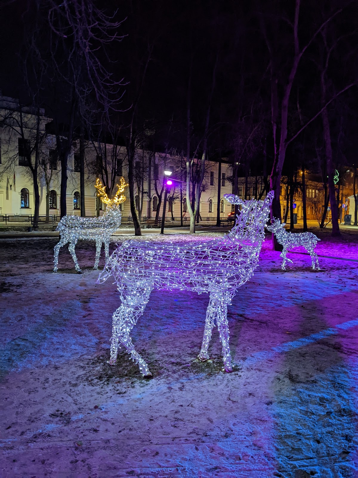 Daugavpils University photo 8