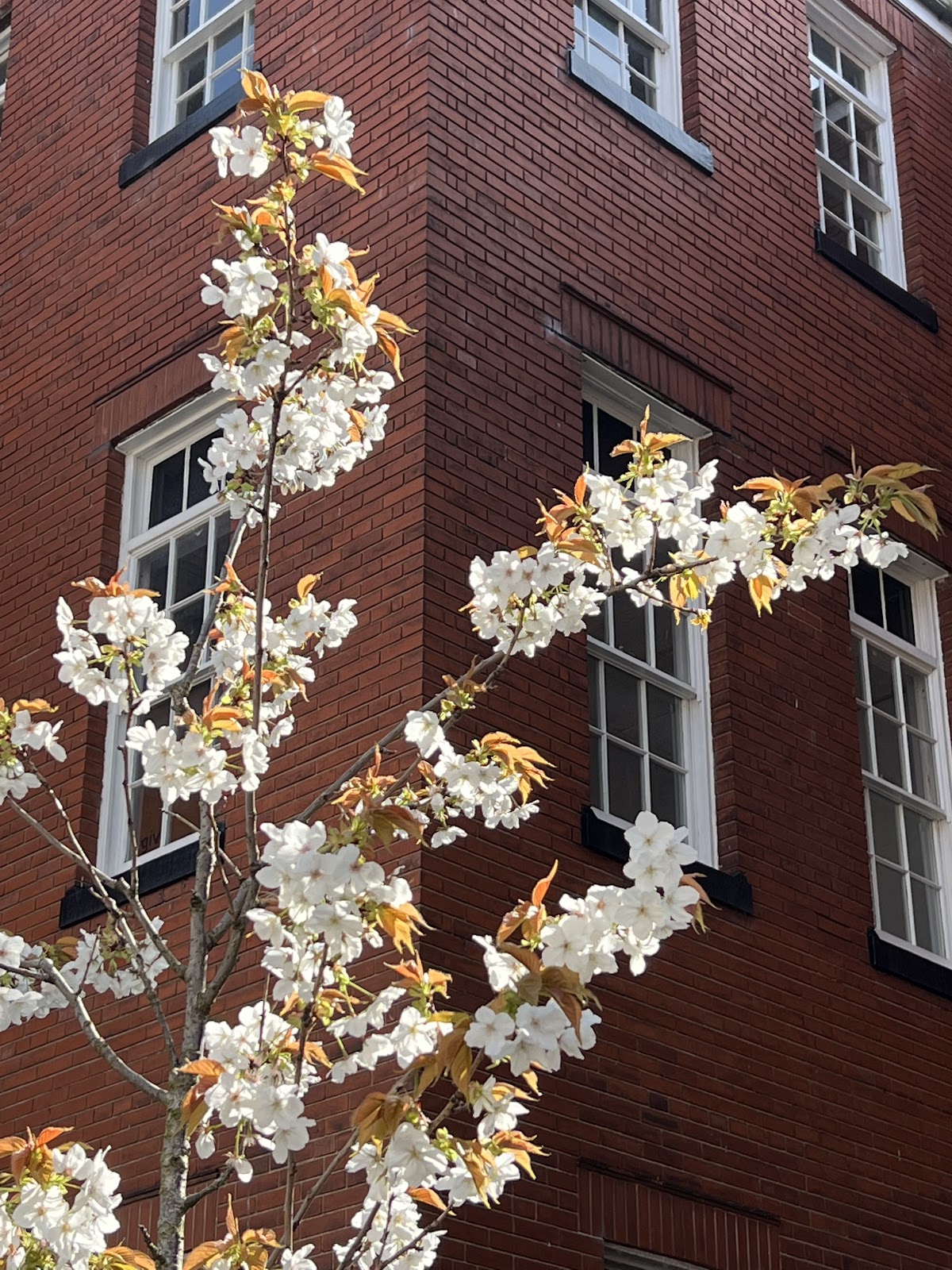 Liverpool John Moores University photo 3