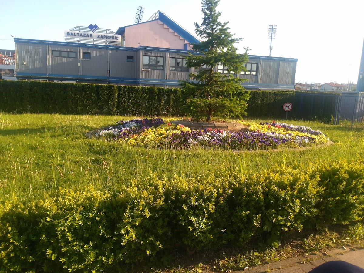 University of Applied Sciences Baltazar Zapresic - Branch Vukovar photo 3