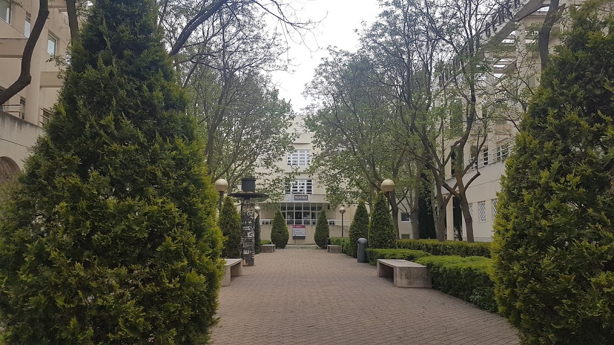 University of Castilla-La Mancha photo 2