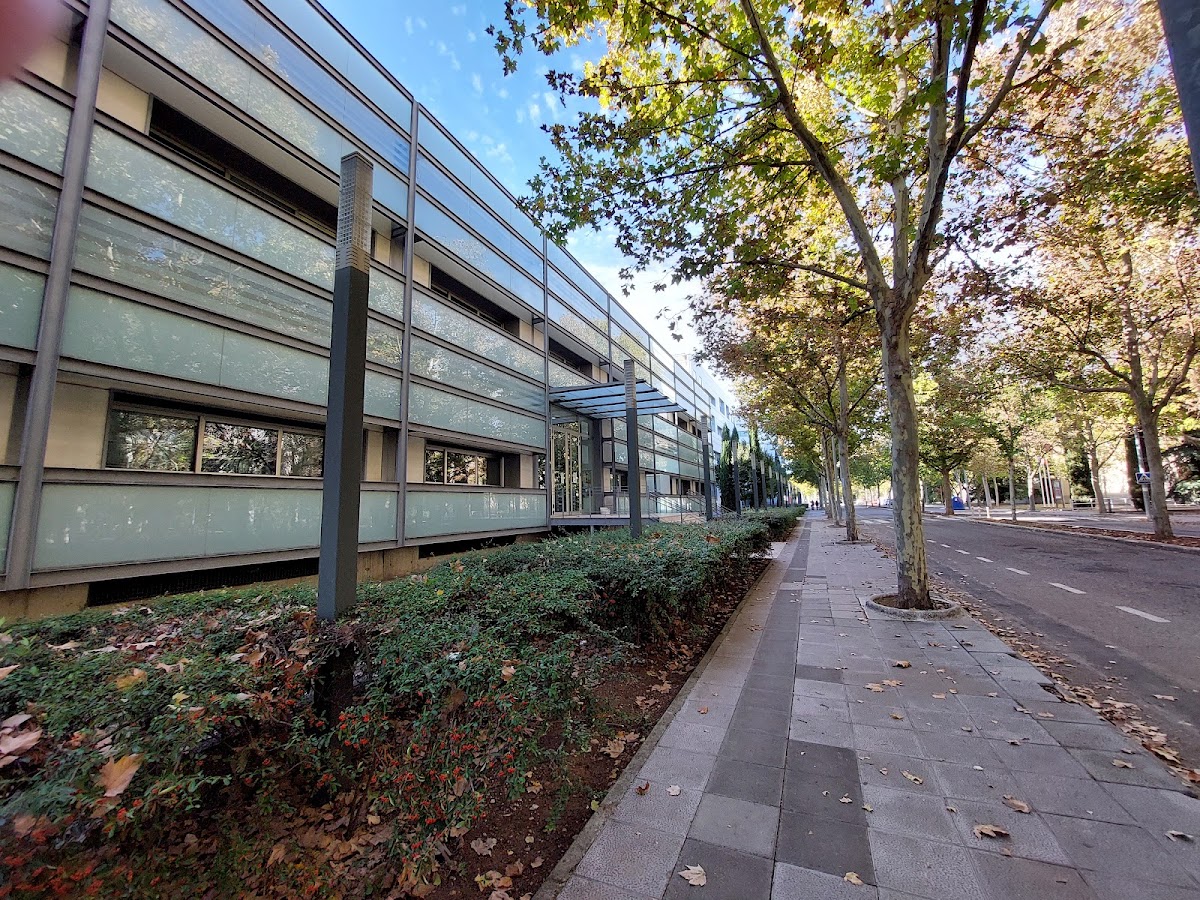 University of Castilla-La Mancha photo 7