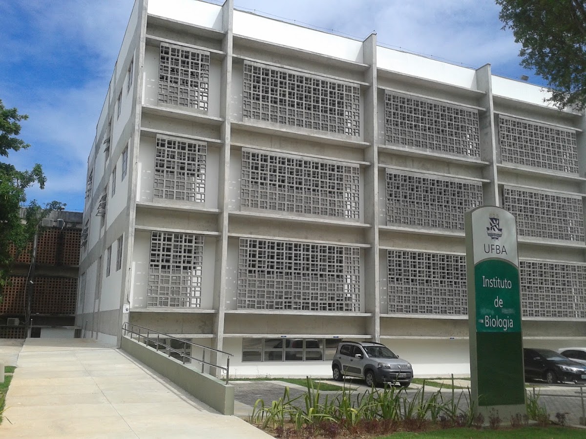 Federal University of Bahia photo 4