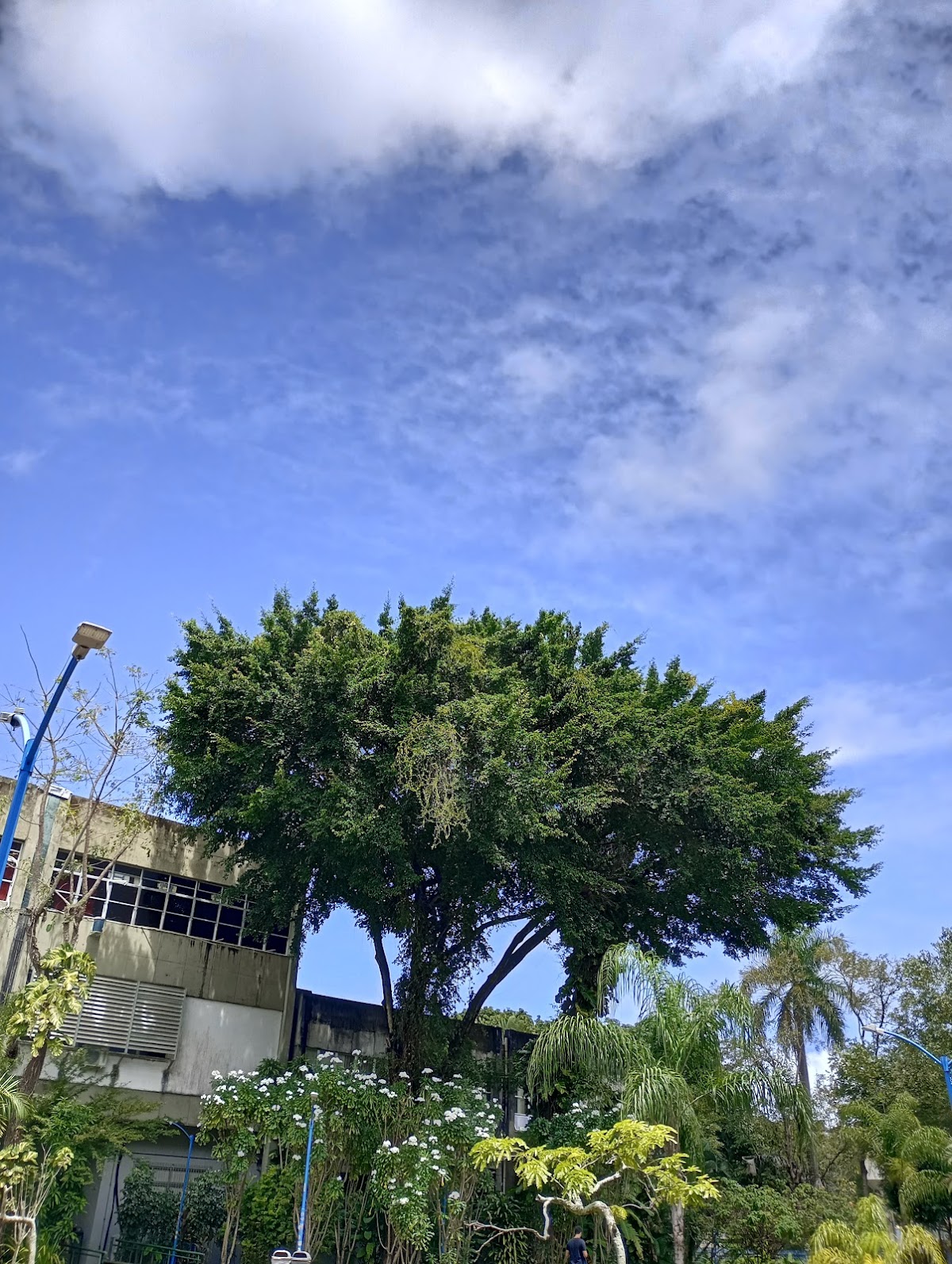 Federal University of Bahia photo 5