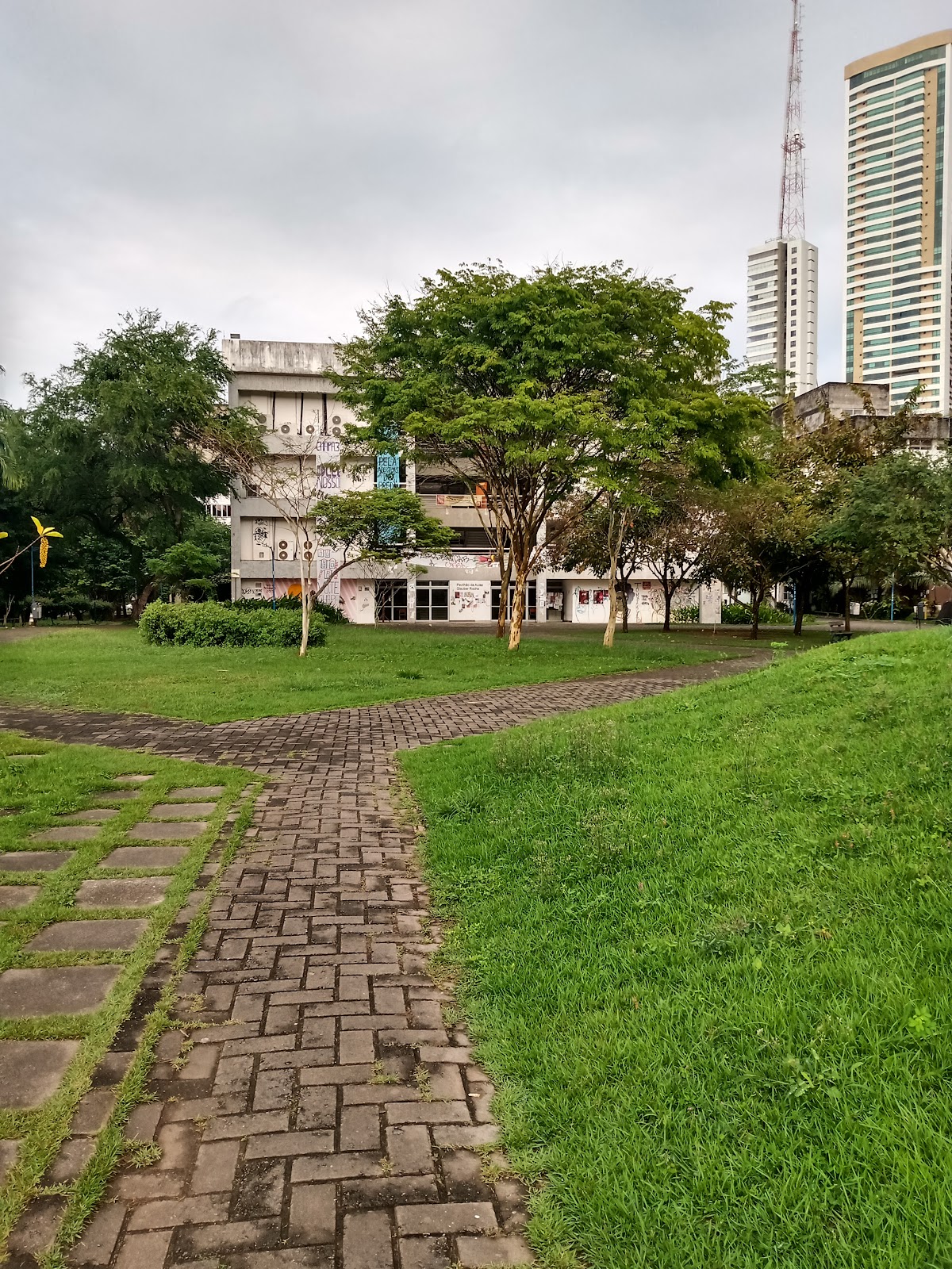 Federal University of Bahia photo 6