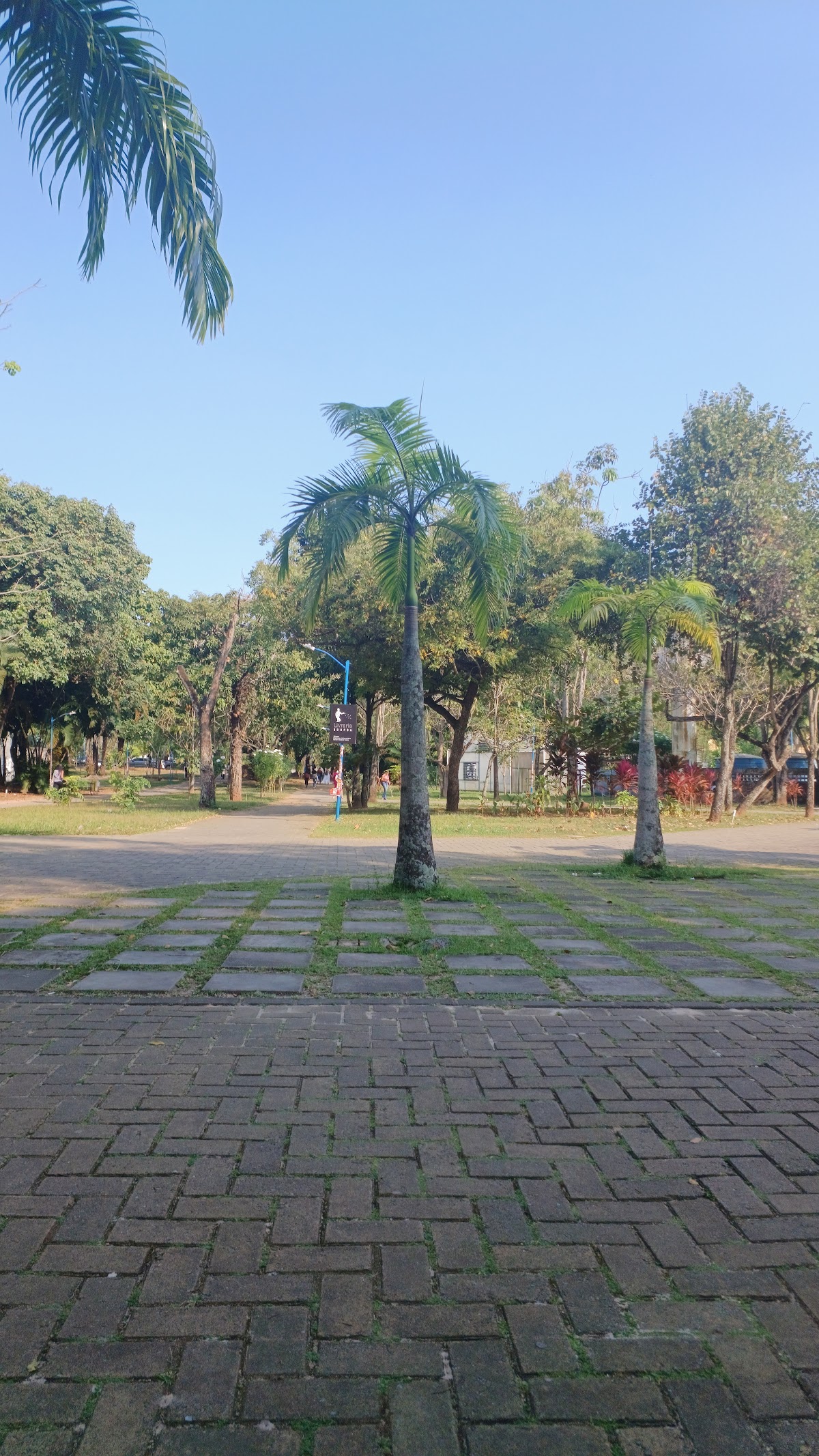 Federal University of Bahia photo 9