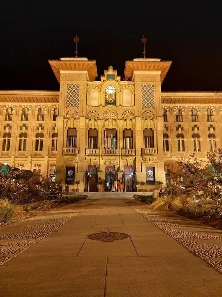 University of Córdoba photo 6