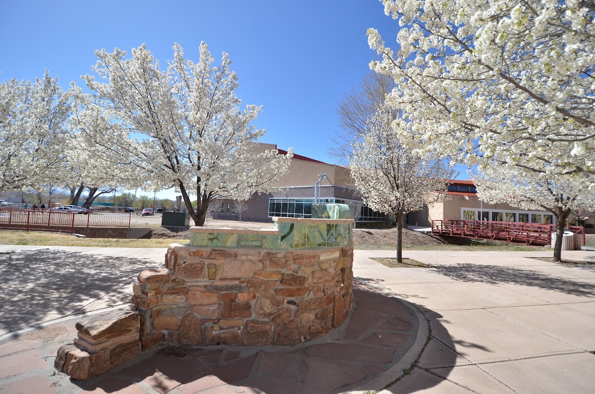 Northern New Mexico photo 1