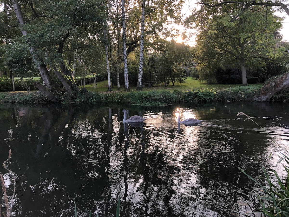 University of East Anglia photo 6